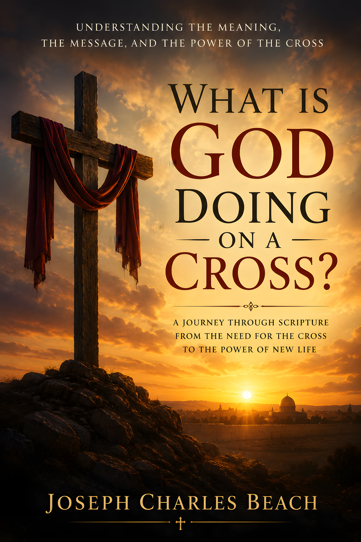 What Is God Doing on a Cross book cover